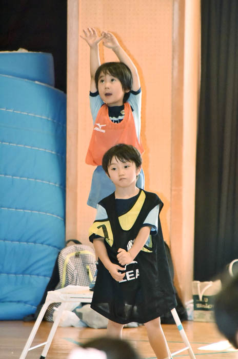 V2009