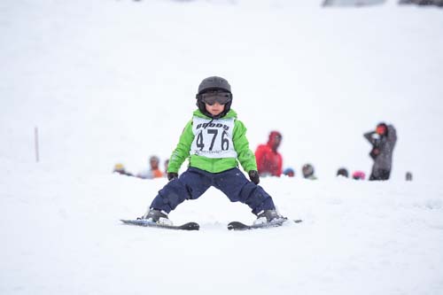D277