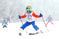W0539